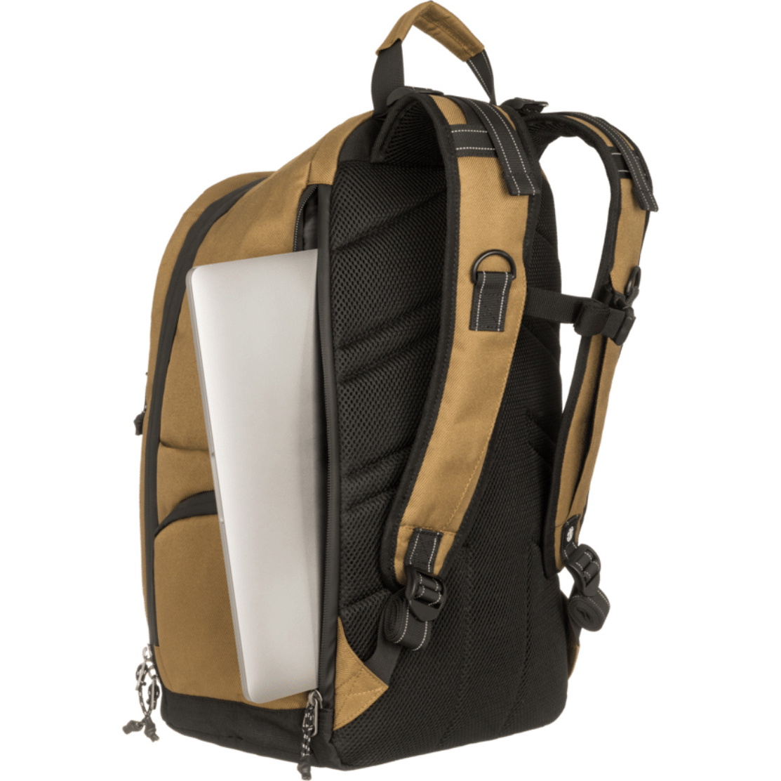 2026 Element Mens Scheme Skate Backpack ELYBP00148 - Kangaroo